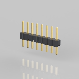 P30X-SG_-XXX/XXX-XX 
