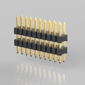 P42X-SG_-XXX/XXX/XXX-XX 